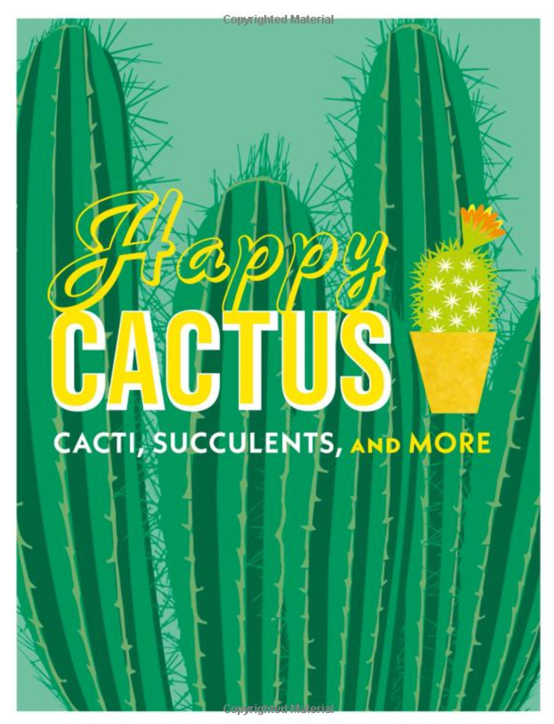DK Happy Cactus Cacti Succulents and More