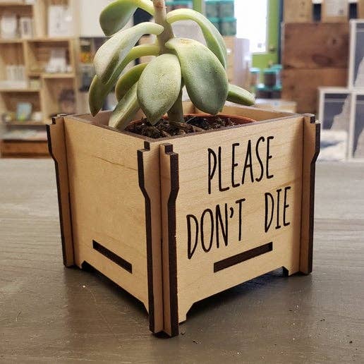 Please don't die Wooden Planter Box: Cherry / Large (fits 4" nursery pot)