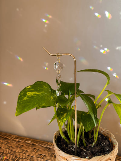 Plant Stake | Sun Catcher & Cactus | Gifts for Plant Moms