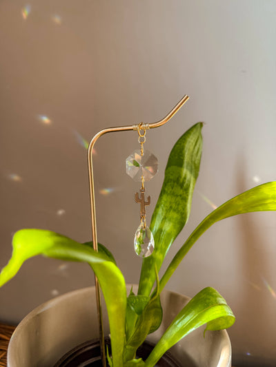 Plant Stake | Sun Catcher & Cactus | Gifts for Plant Moms