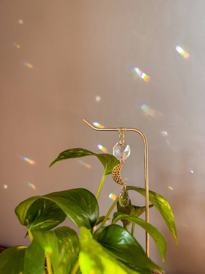 Plant Stake | Suncatcher & Moon Charm | Houseplant Accessory