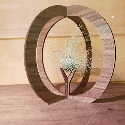 Air Plant Stand - Globe Tabletop Air Plant Holder