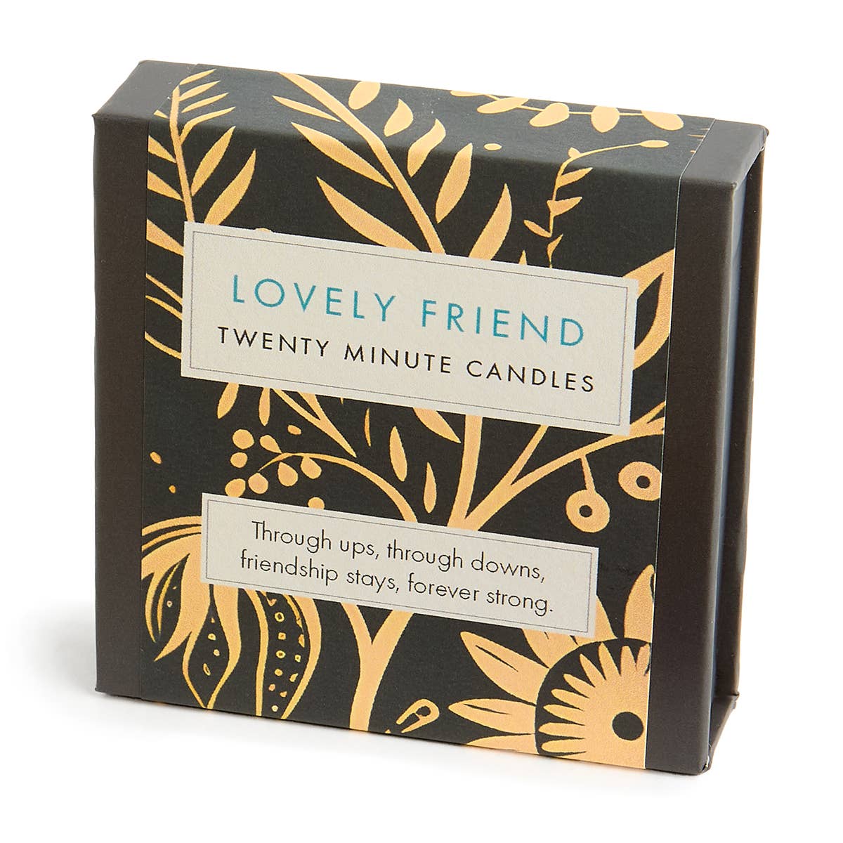 Lovely Friend | Twenty Minute Candles