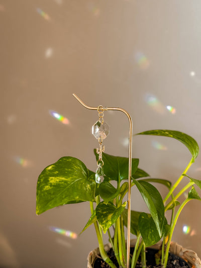 Plant Stake | Sun Catcher & Cactus | Gifts for Plant Moms