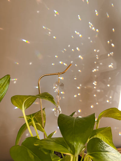 Plant Stake | Sun Catcher & Cactus | Gifts for Plant Moms