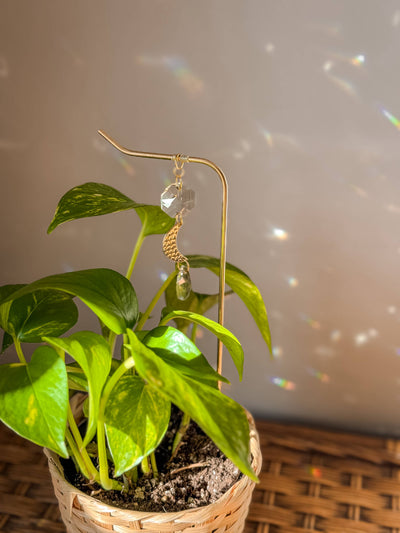 Plant Stake | Suncatcher & Moon Charm | Houseplant Accessory