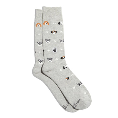 Socks that Save Dogs (Hound Headshots): Medium