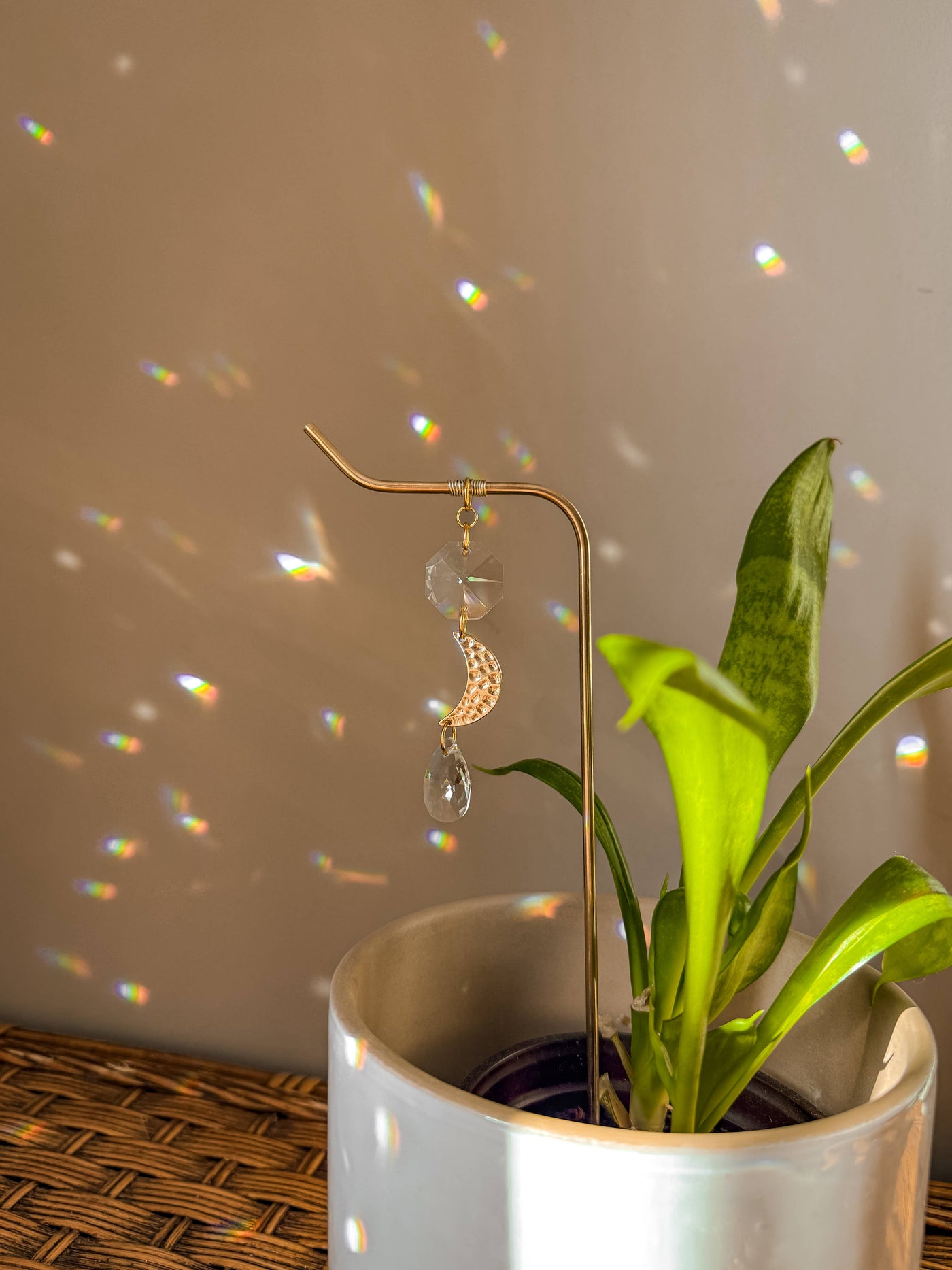 Plant Stake | Suncatcher & Moon Charm | Houseplant Accessory