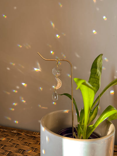 Plant Stake | Suncatcher & Moon Charm | Houseplant Accessory