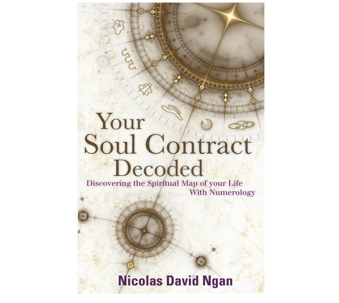 Your Soul Contract Decoded by Nicolas David Ngan