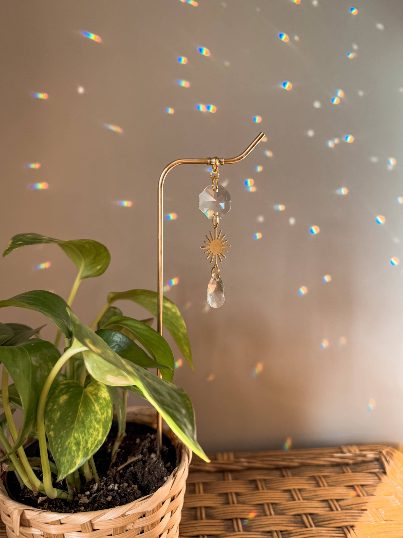 Plant Stake | Suncatcher & Sun Charm | Houseplant Decor