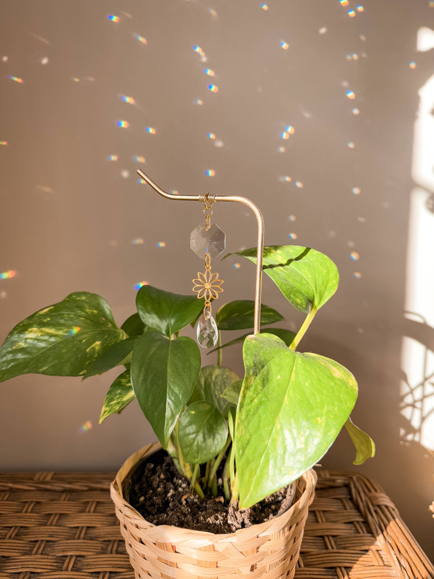 Plant Stake | Hanging Suncatcher Prisms | Daisy Flower Charm