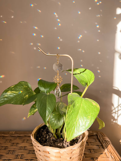 Plant Stake | Hanging Suncatcher Prisms | Daisy Flower Charm
