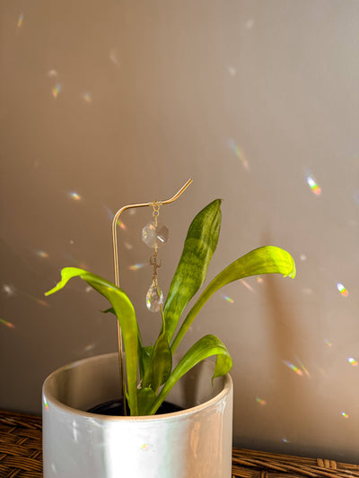 Plant Stake | Sun Catcher & Cactus | Gifts for Plant Moms