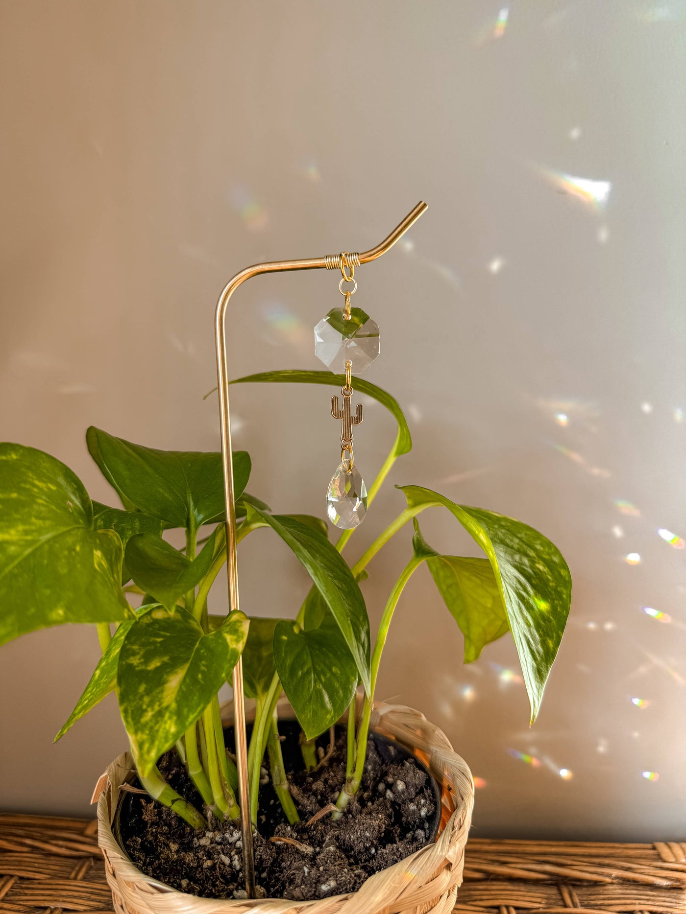 Plant Stake | Sun Catcher & Cactus | Gifts for Plant Moms