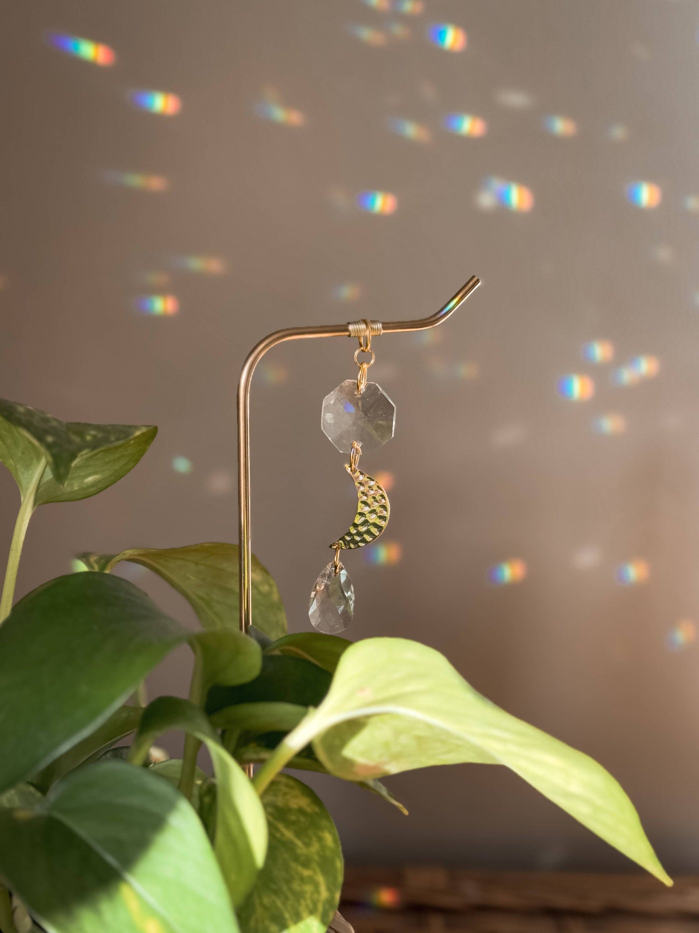 Plant Stake | Suncatcher & Moon Charm | Houseplant Accessory