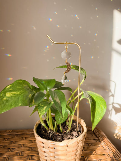 Plant Stake | Suncatcher & Moon Charm | Houseplant Accessory
