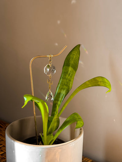 Plant Stake | Sun Catcher & Cactus | Gifts for Plant Moms