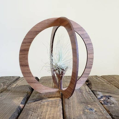 Air Plant Stand - Globe Tabletop Air Plant Holder
