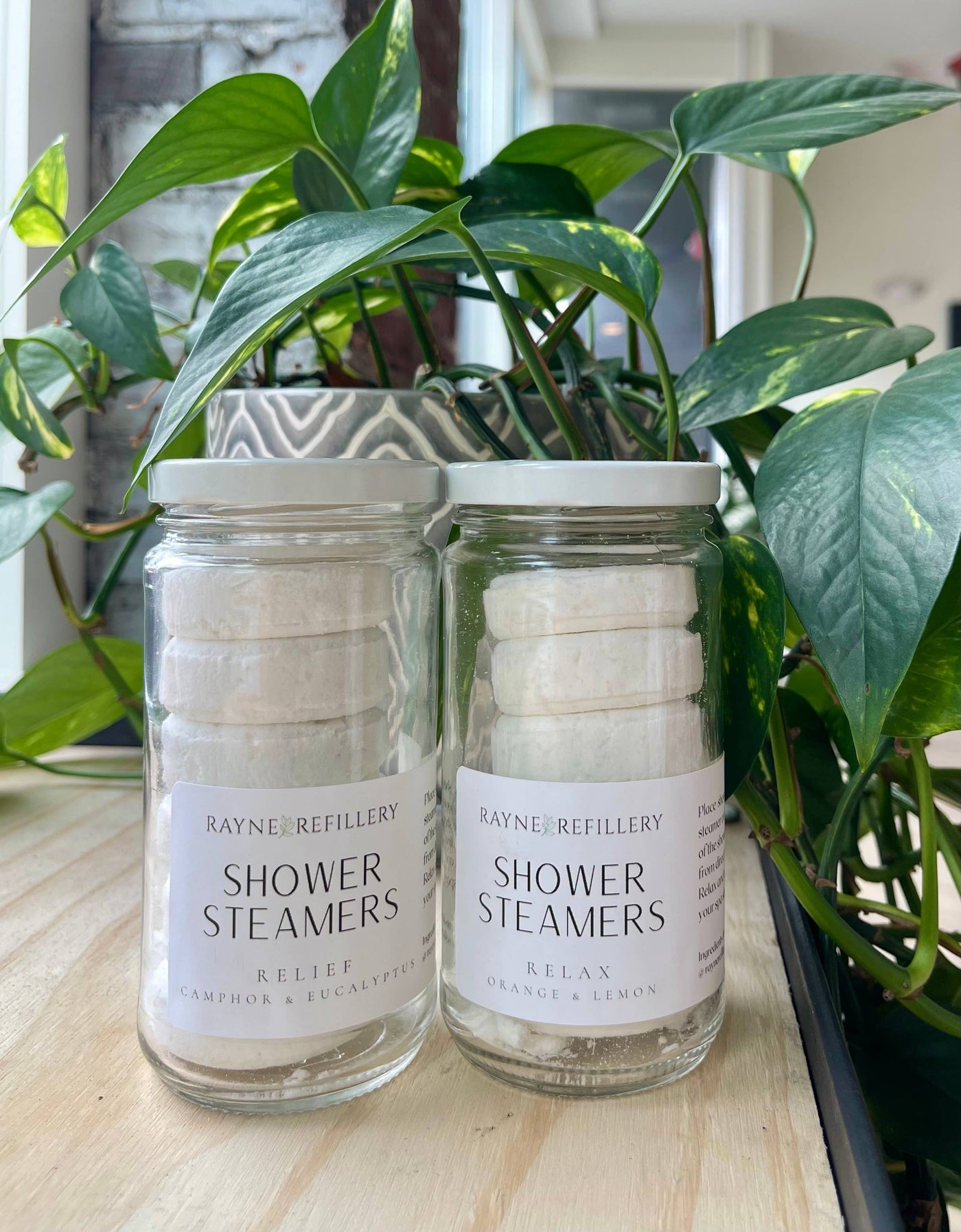 Shower Steamers 6 Pack - Relief - Eucalyptus & Camphor Scented - Rayne Refillery