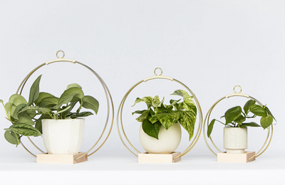 Plant Hanger (Classic Shimmer) LG