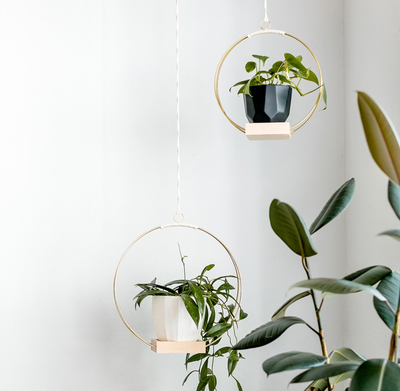 Plant Hanger (Classic Shimmer) LG
