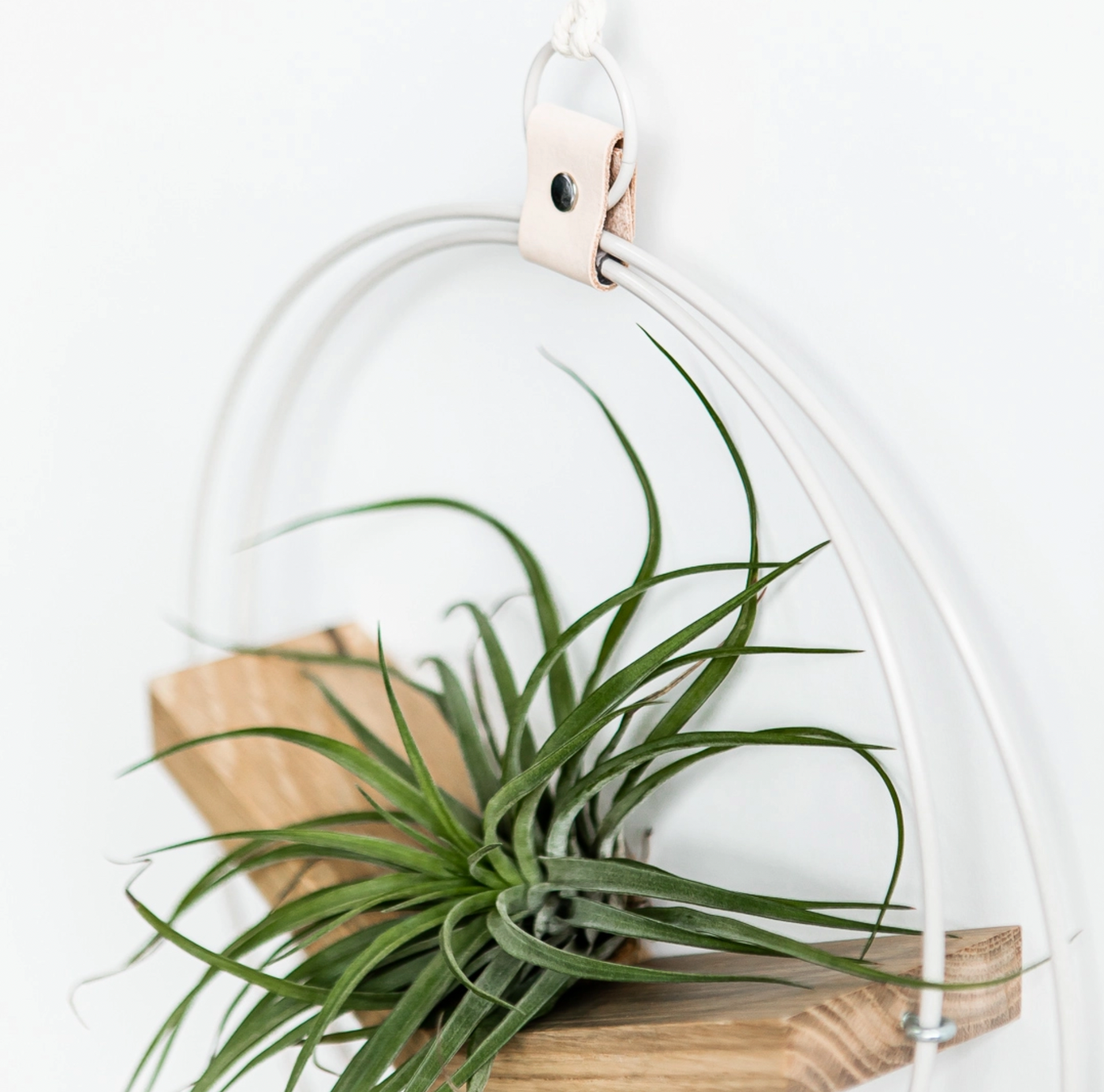 V-Hanger (Light & Airy) LG