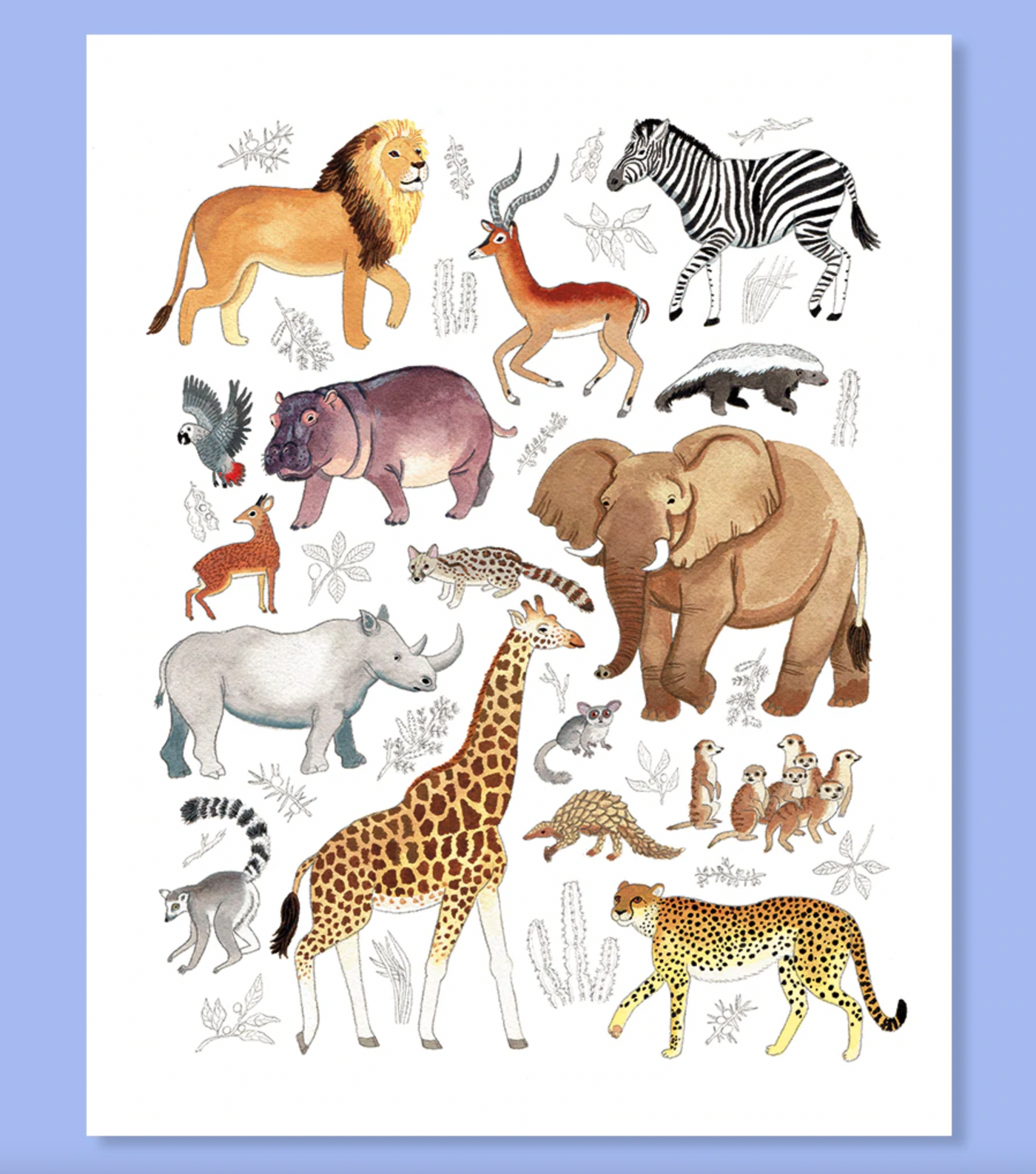 African Animalia 11"x14" Print