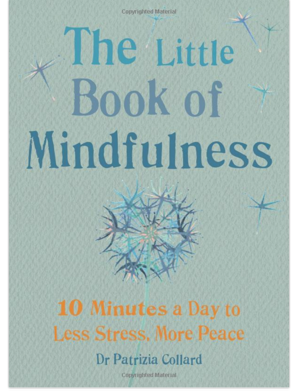 Little Book of Mindfulness Book