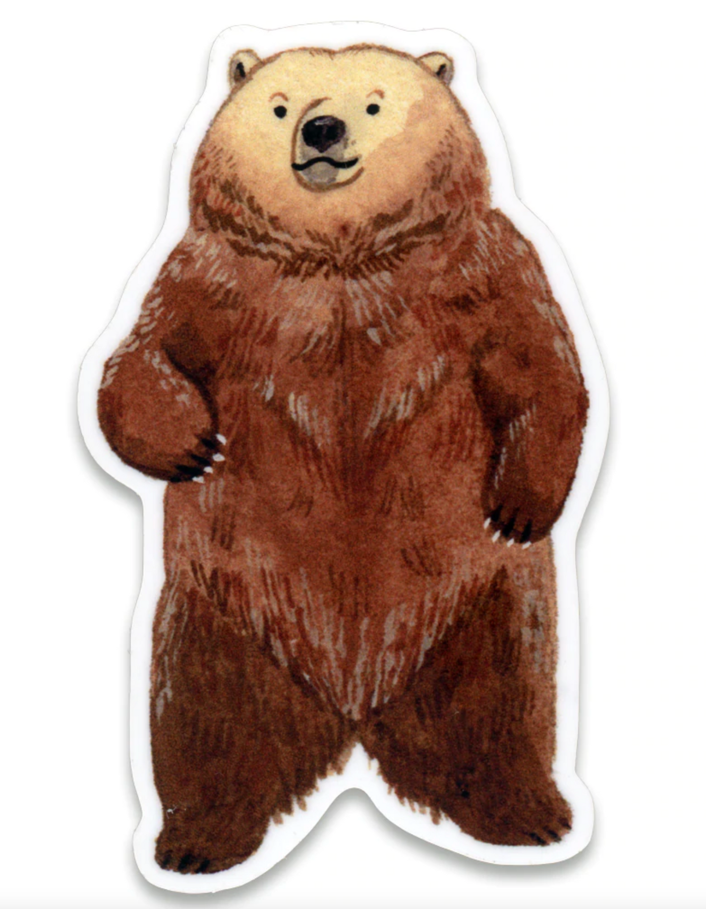 Brown Bear Sticker