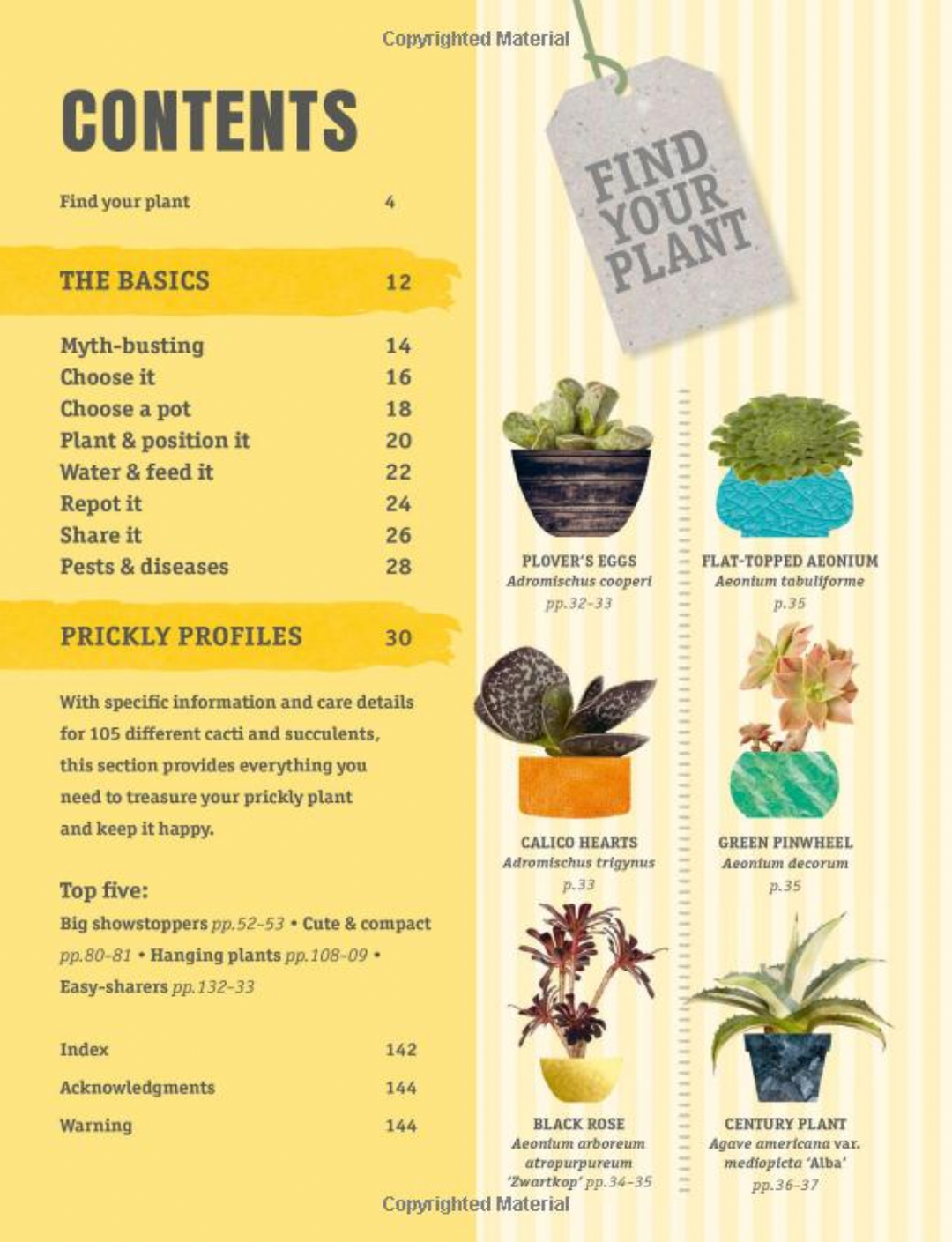 cactus hobbi catalogue DK Happy Cactus Cacti Succulents and More