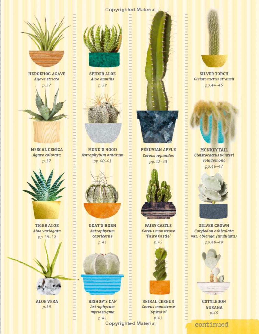 types of cactus and names Happy Cactus: Cacti, Succulents, and More – The Iron Cactus of Kingston, NH
