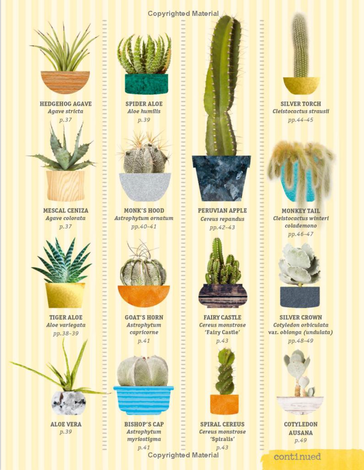 types of cacti and succulents with pictures DK Happy Cactus Cacti Succulents and More