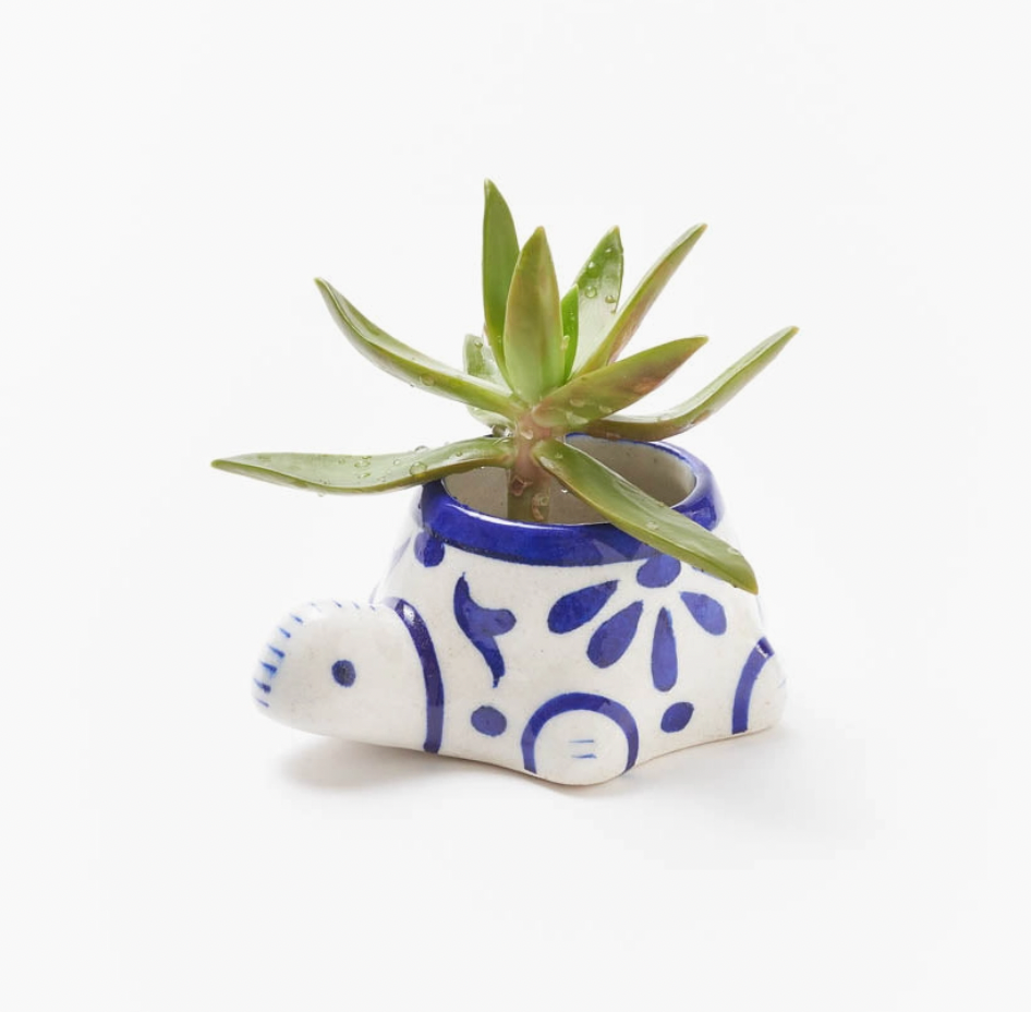 Lalita Indigo Succulent Planter - Baby Turtle