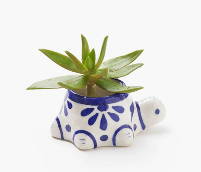 Lalita Indigo Succulent Planter - Baby Turtle