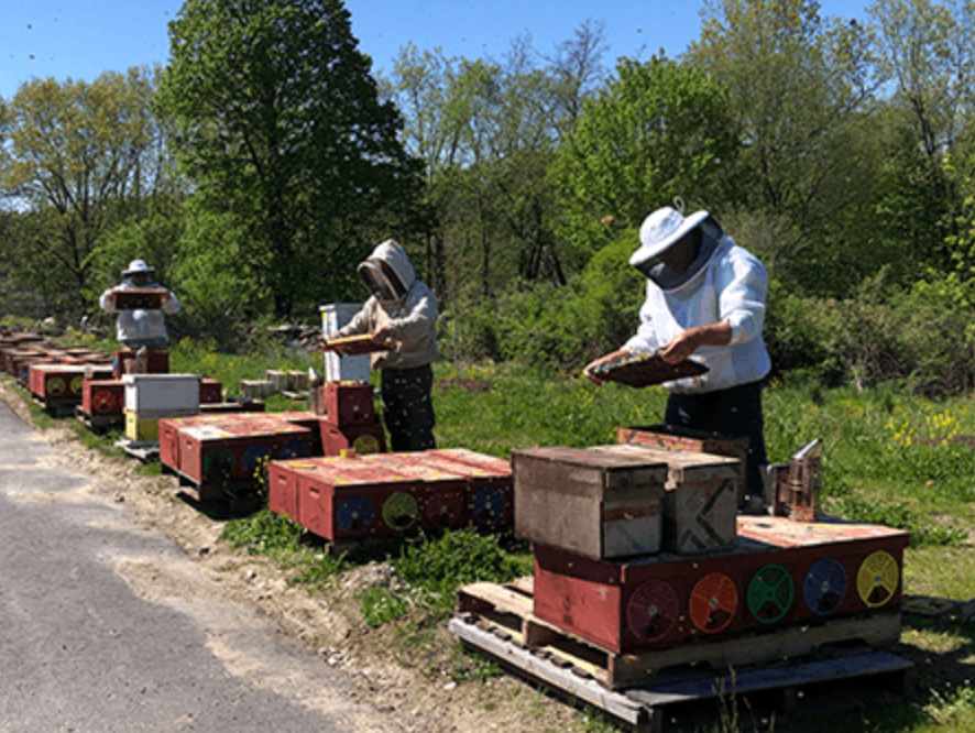 Spring Blossom Honey 1lb.