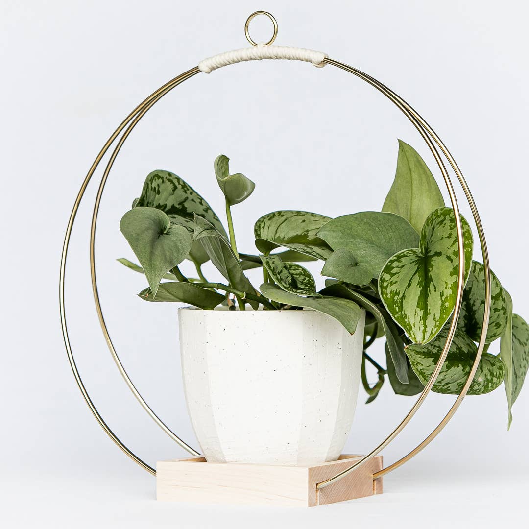 Plant Hanger (Classic Shimmer) LG